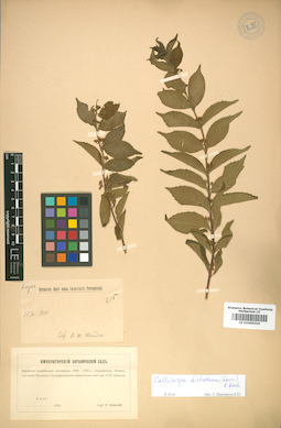 LE 01009364