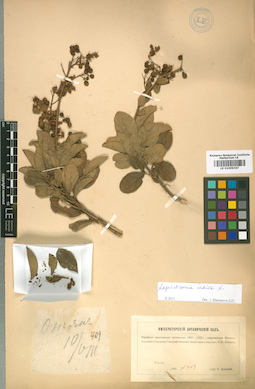 LE 01009367