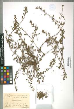 LE 01009368