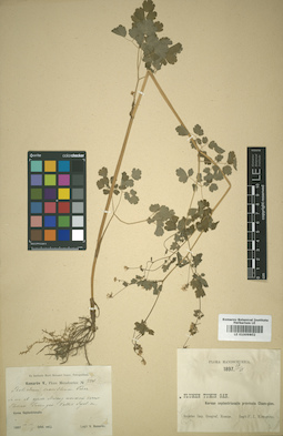 LE 01009802