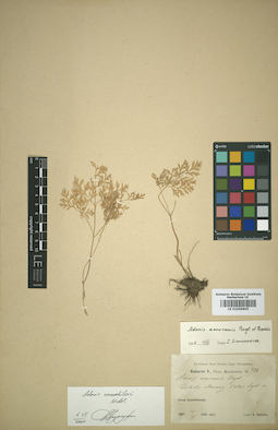LE 01009805