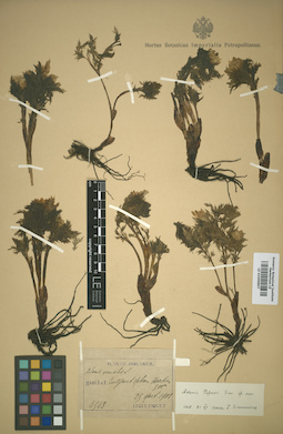 LE 01009807