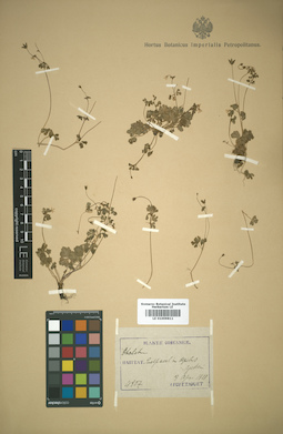 LE 01009811