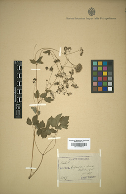 LE 01009814