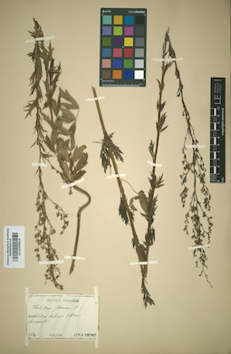 LE 01009819