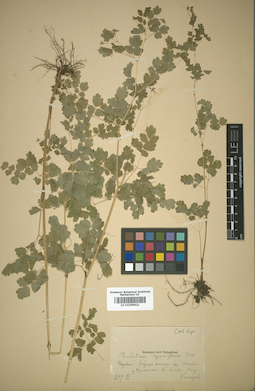 LE 01009821