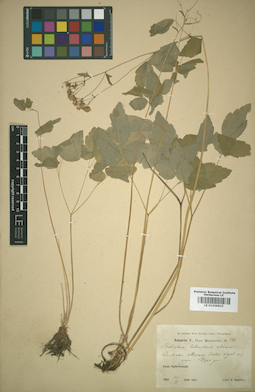 LE 01009825