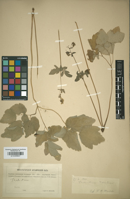 LE 01009827
