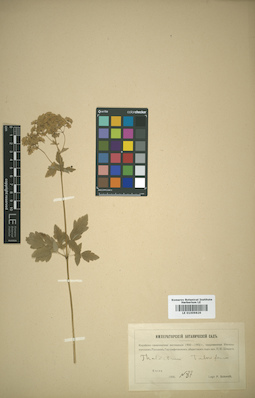 LE 01009829