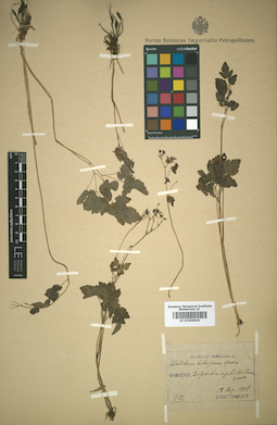 LE 01009830
