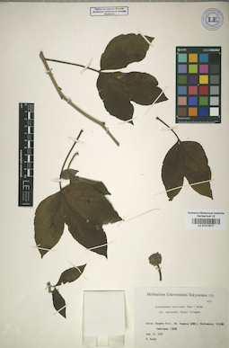 LE 01013571