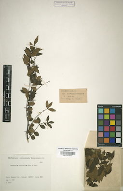 LE 01014317