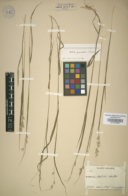 LE 01015505