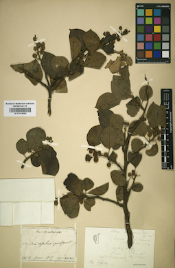 LE 01016092