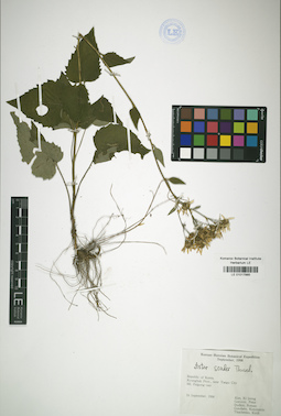 LE 01017885