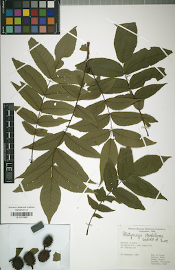 LE 01017887