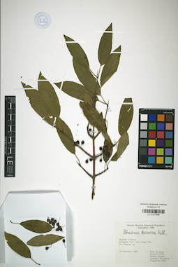 LE 01017888