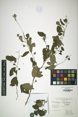 LE 01017890