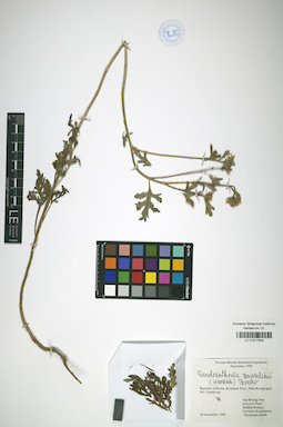 LE 01017900