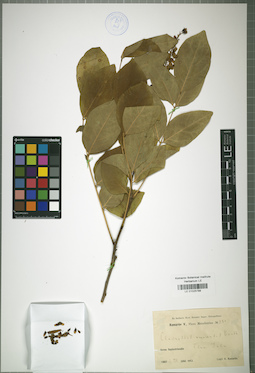 LE 01025788