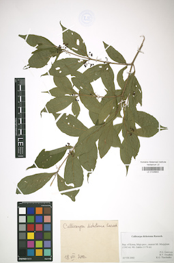 LE 01026802
