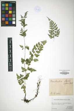 LE 01026805