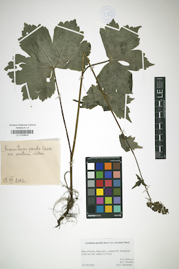LE 01026816