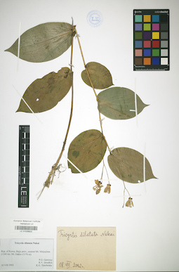 LE 01026822