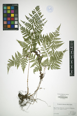 LE 01026825