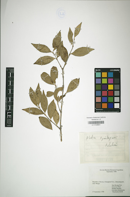 LE 01026831