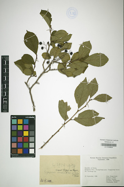 LE 01026834