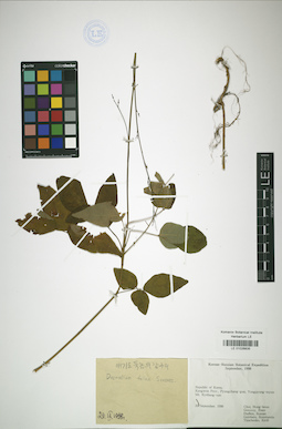 LE 01026835