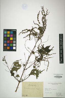 LE 01026836