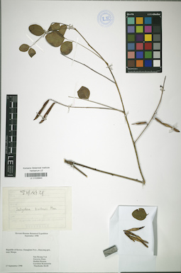 LE 01026840
