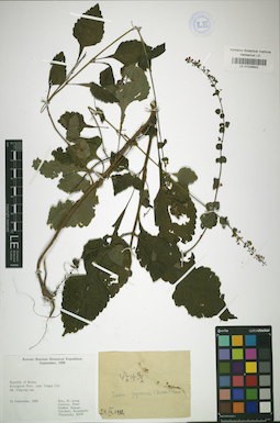 LE 01026842