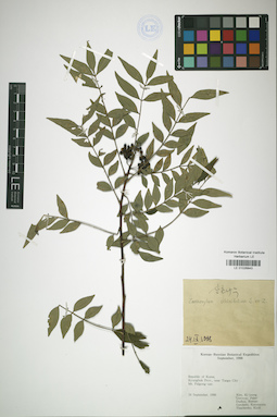 LE 01026843