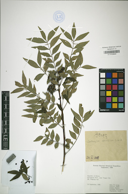 LE 01026846