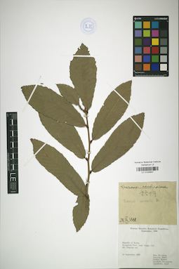 LE 01026847