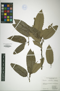 LE 01026848