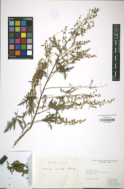 LE 01026852