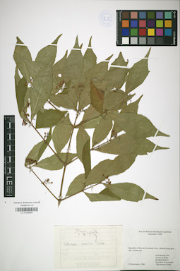 LE 01026854