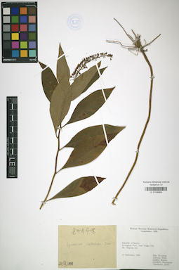 LE 01026855