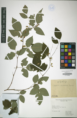 LE 01026856