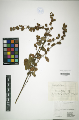 LE 01026857