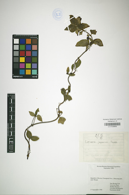 LE 01026859