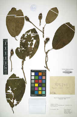 LE 01026867