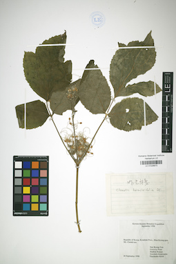 LE 01026873