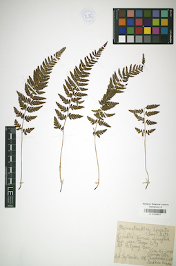LE 01026877
