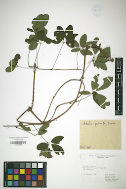 LE 01026881