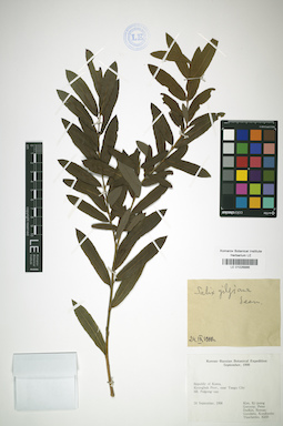 LE 01026886